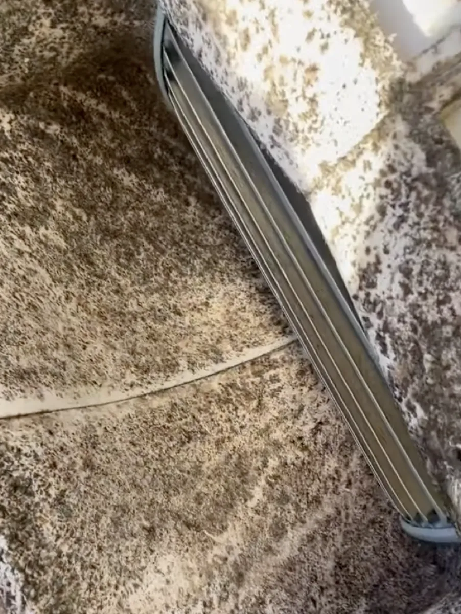 Mold inside an air duct